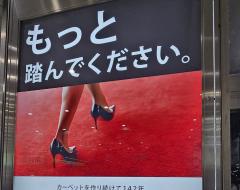 こんばんは