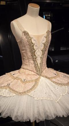 いつか見に行きたい