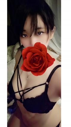 🌹*゜